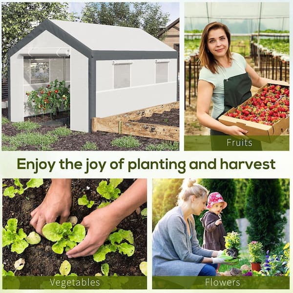 HOME GROWN - ONE DAY / 3 seconds (7”) Outsunny 12 ft. L x 7 ft. W x 7 ft. H Outdoor Walk-In Tunnel