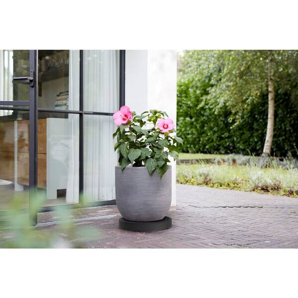 Keter 14 in. Black Resin Circular Planter Caddy With Wheels 273080