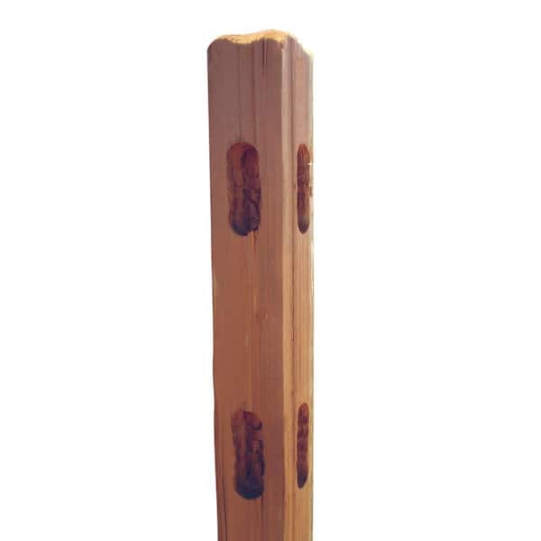 Outdoor Essentials 4 in. x 4 in. x 5.3 ft. Cedar-Tone Pressure-Treated Pine 2-Hole Corner Fence Post