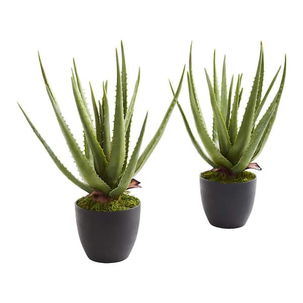 Indoor Aloe Artificial Plant (Set of 2)