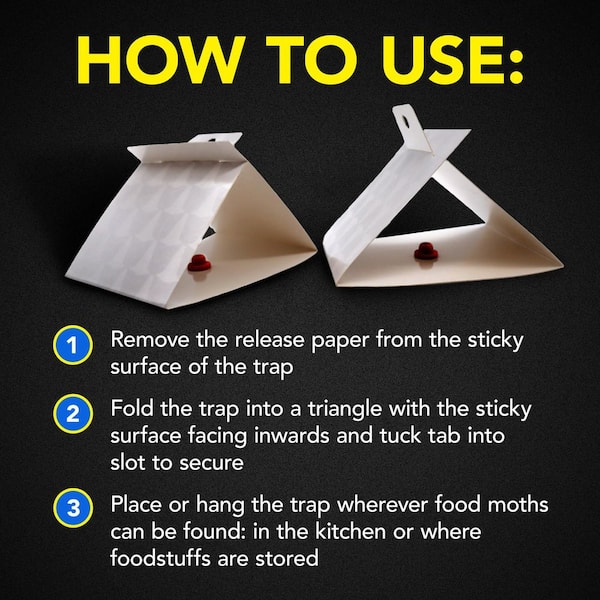 How To Make A Moth Trap Easy