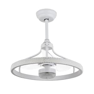 24 in. LED White Reversible Ceiling Fan with Light and Remote Control, DC Motor