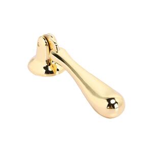 Danbury 2-1/2 in. Center-to-Center Polished Gold Pendant Drawer Pull