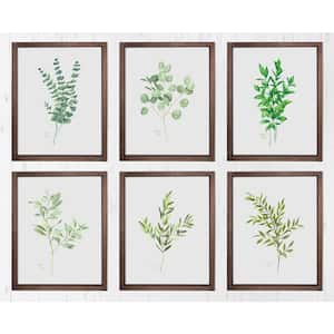 "Nature's Lace 1" Farmhouse Decorative Sign 13 in. x 19 in. (Set of 6)