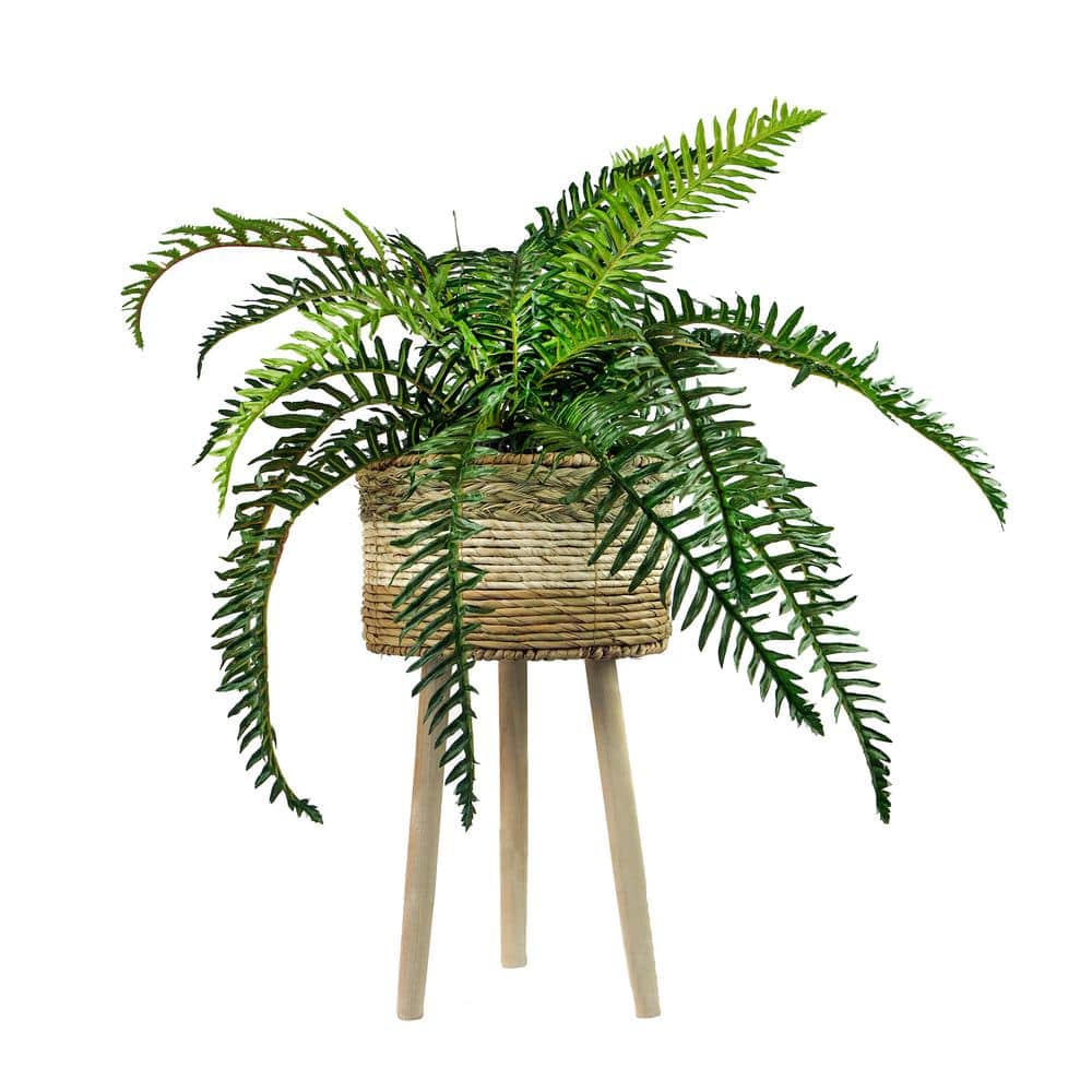 38" Green Faux Fern in Beige Wicker Basket Stand