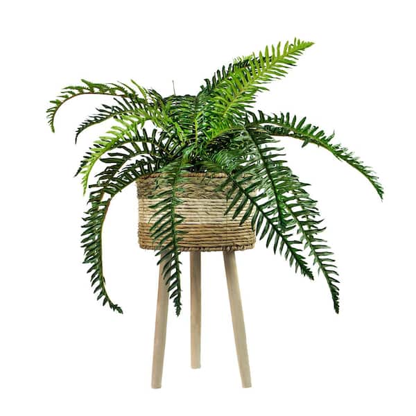 38 in. Artificial River Fern in Tri-Color Basket Stand