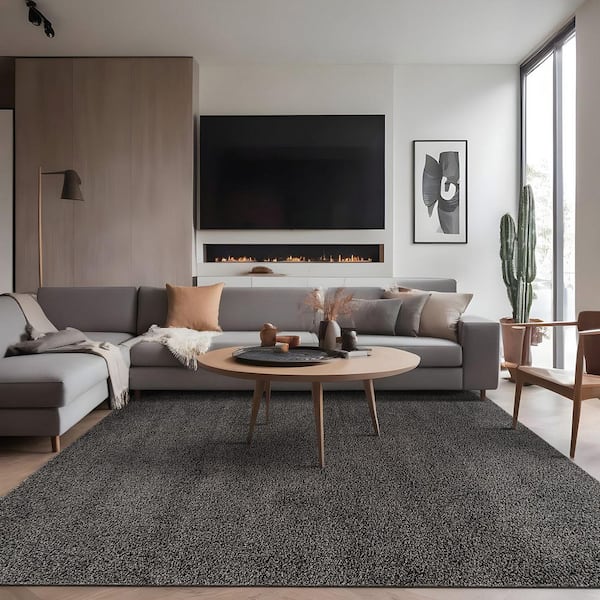 Silky 5 ft. x 7 ft. Dark Gray Solid Plus Thick Pile Non Slip Easy Clean Non Shedding Modern Indoor Area Rug
