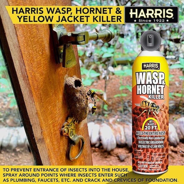 Harris 16 Oz Wasp And Hornet Killer 3 Pack 3wh16 The Home Depot