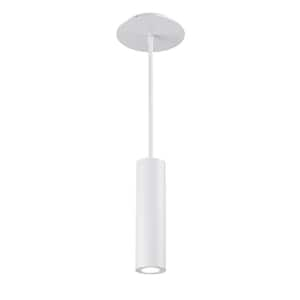 Caliber 10 in. 90-Watt Equivalent Integrated LED White Pendant with Acrylic Shade