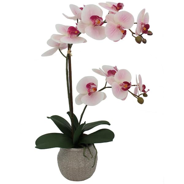 Mikasa 22 in. Artificial Orchid in Pot, Real Touch Flowering Plant in Embossed Weave Cement Pot, Watercolor Pink
