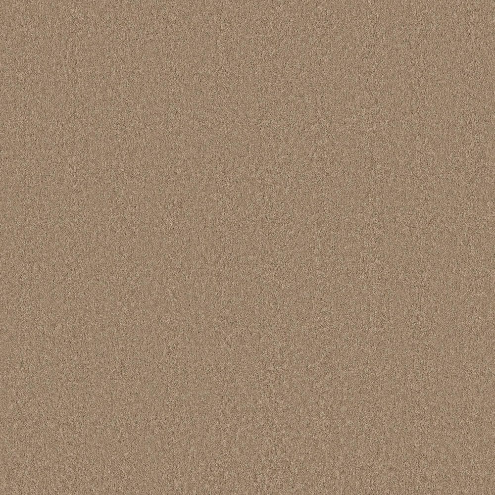 8 in. x 8 in. Texture Carpet Sample - Vignette Velvet II - Color Smokehouse price history on PriceWatchPro
