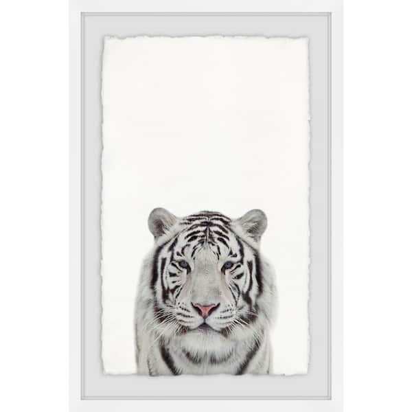 Poster 24" x 16" Tiger Portrait 