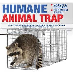 Heavy-Duty Outdoor Animal Cage Trap Catch Release for Opossums, Beavers, Groundhogs and Gophers, Large 32 x 10x12,1-Pack