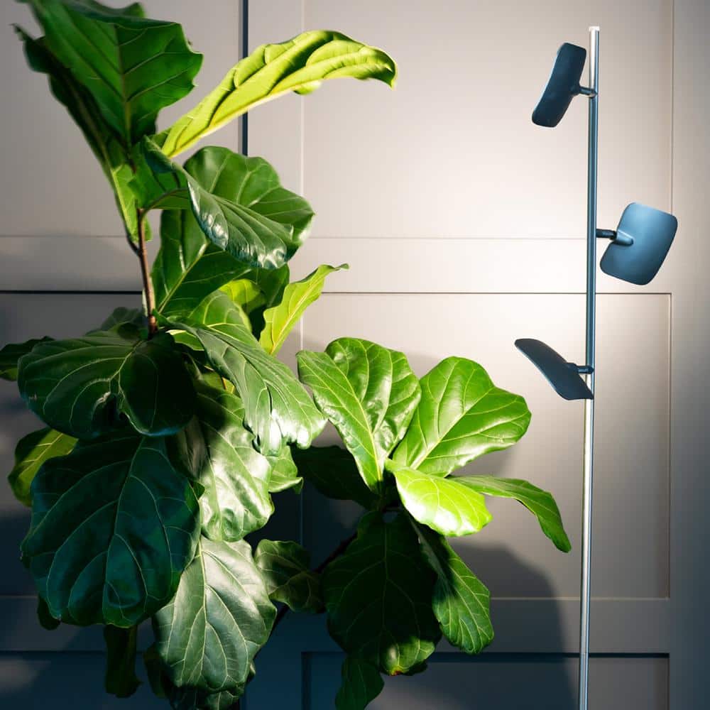 Matte Nickel 60" Energy-Efficient LED Floor Lamp with 3 Adjustable Heads