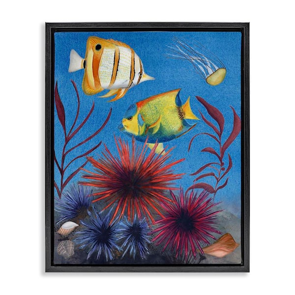 Stupell Industries Seafaring Fish and Urchins by Michelle Ingari Designs Black Floater Frame Animal Graphic Art Print 31 in. x 25 in.