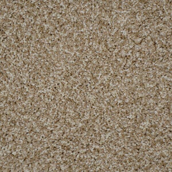 Unbranded Park Meadow - Color Cobblestone Texture 12 ft. Carpet (1080 sq. ft. / Roll)