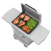 Series II 26 in. 2-Burner Digital Propane SmartTemp Flat Top Grill / Griddle in Chalk Finish with Enclosed Cart and Hood