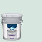 Color Seal 5 gal. PPG1140-1 Echo Satin Interior/Exterior Concrete Stain