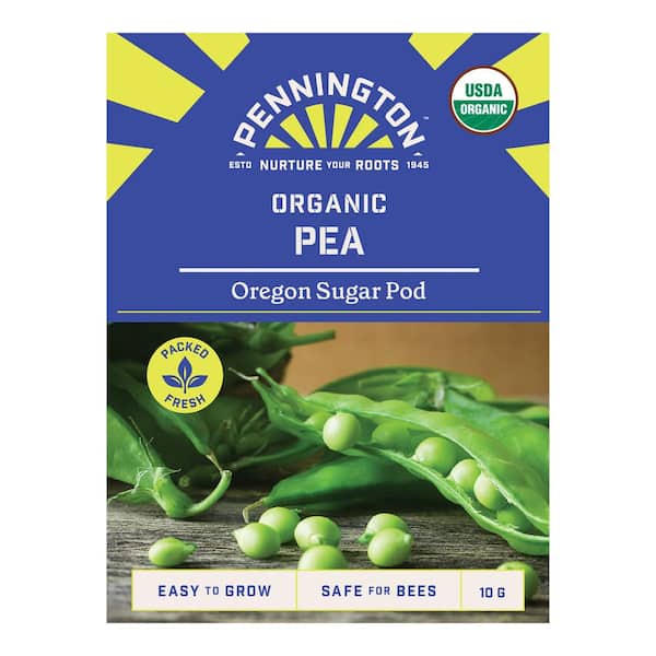 Organic Pea Oregon Sugar Pod Fruit Seed