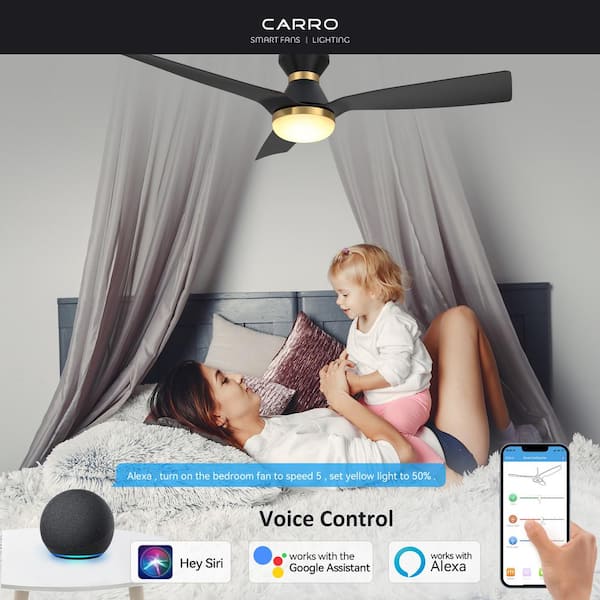Striver II 52 in. Integrated LED Indoor Black Smart Ceiling Fan with Light and Remote, Works with Alexa and Google Home