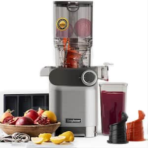 Cold Press 200W Stainless Steel Masticating Juicer 4.3" Large Feed Chute Fit with 2 Auger