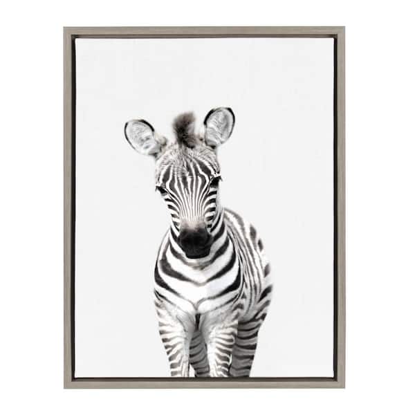 Kate and Laurel Sylvie "Animal Studio Zebra" by Amy Peterson Framed Canvas Wall Art