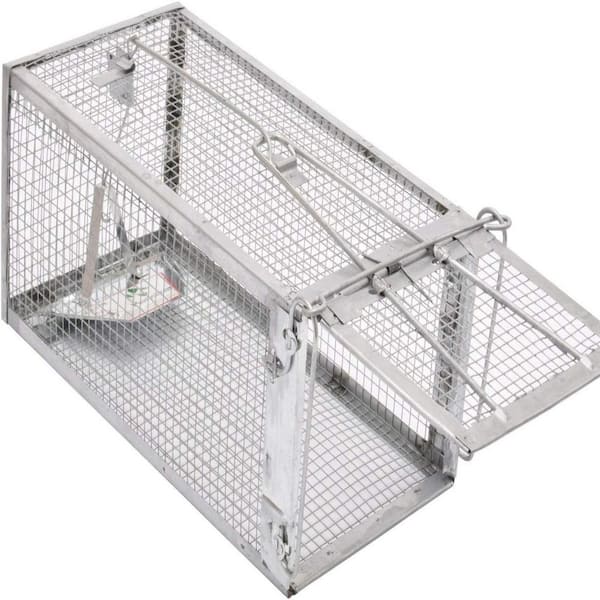 Animal Humane Live Cage Trap That Work for Rat Mouse Chipmunk, Trampa para Ratones, Catch and Release 1Pack Medium