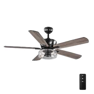 Aberwell 56 in. LED Matte Black Indoor/Outdoor Ceiling Fan with Light Kit and Remote Control