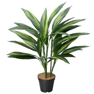 27 in. Artificial Potted Cordyline Plant