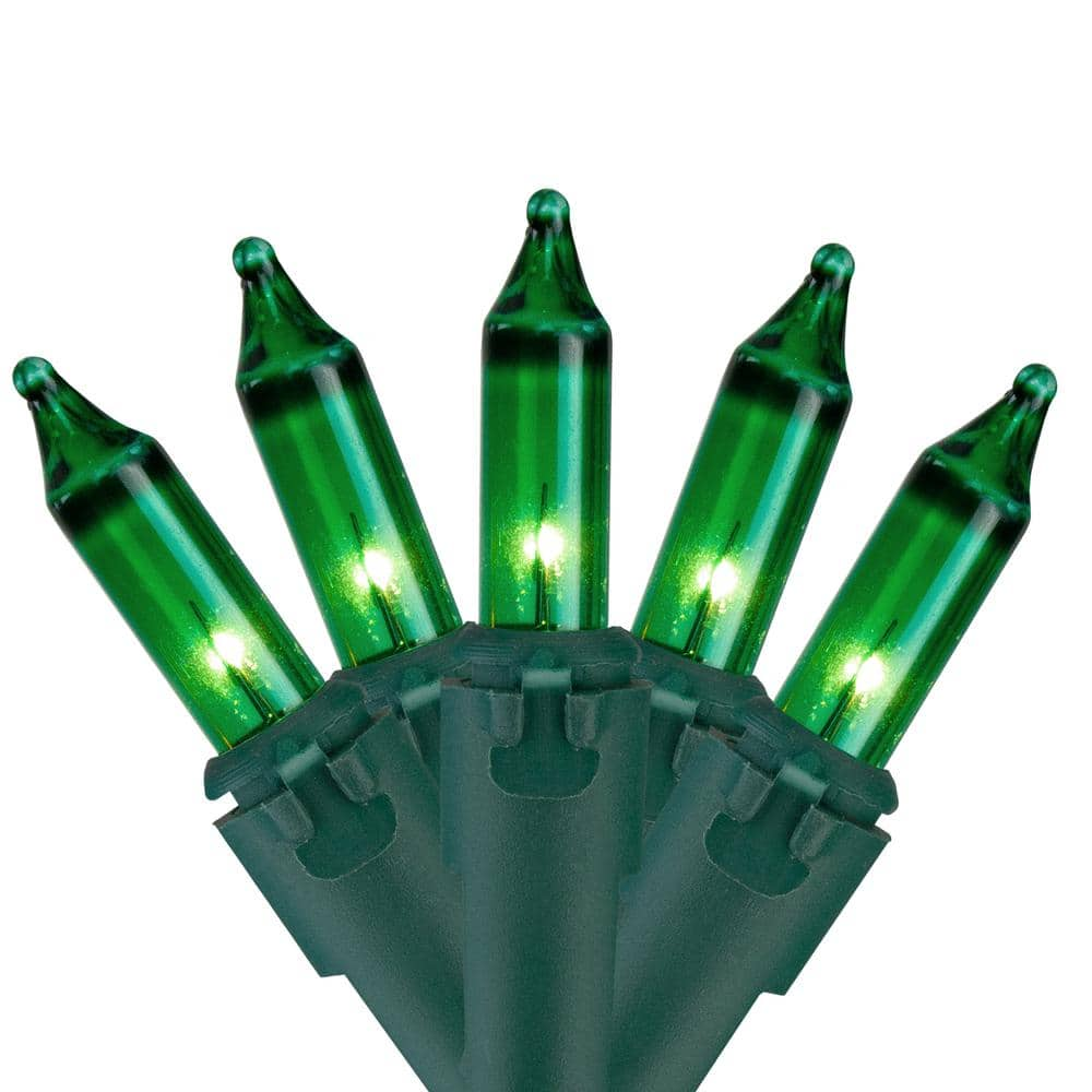 Northlight Set of 100 Green Mini Christmas Lights 2.5 in. Spacing with ...