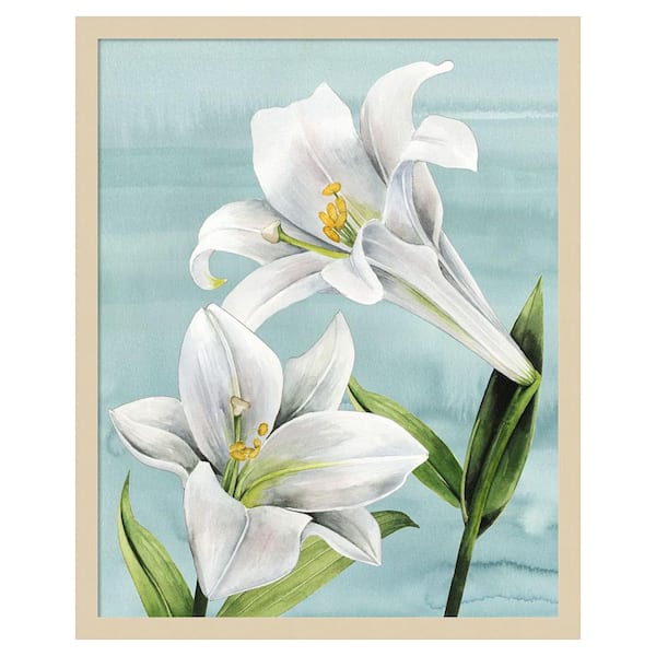 Amanti Art Peaceful Lilies I by Grace Popp 1 Piece Framed Giclee Nature Art Print 25 in. x 21 in.