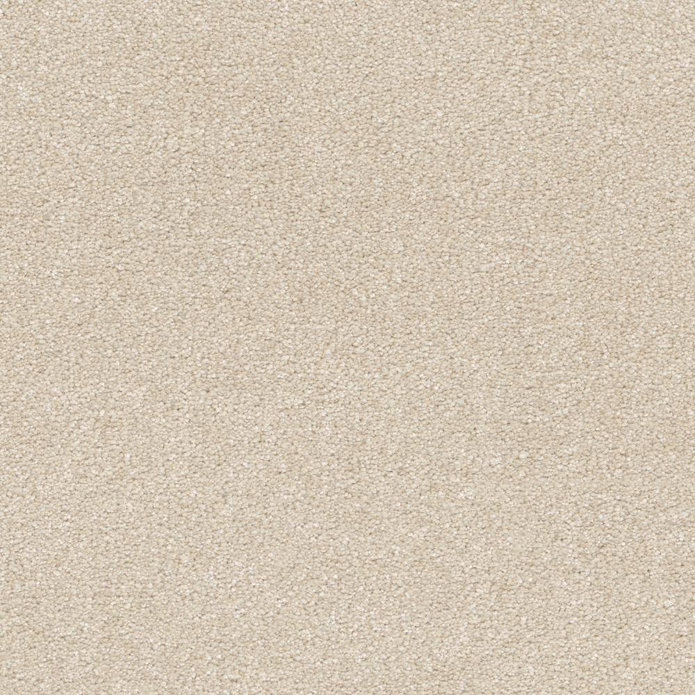 Home Decorators Collection 8 in. x 8 in. Texture Carpet Sample ...