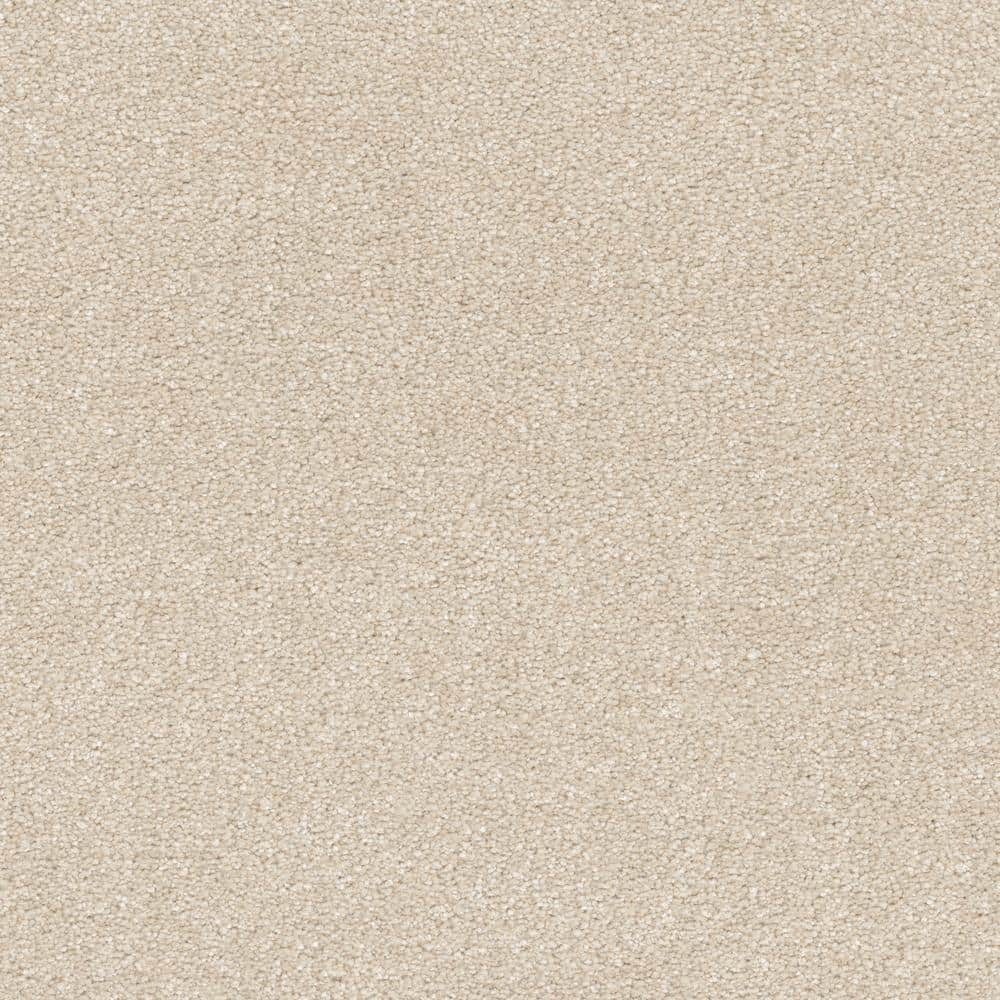 Home Decorators Collection 8 in. x 8 in. Texture Carpet Sample ...