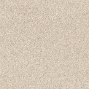 Home Decorators Collection 8 in. x 8 in. Texture Carpet Sample ...