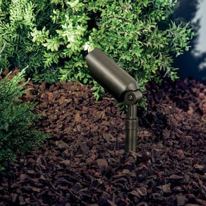 Low Voltage 6 in. Centennial Brass Hardwired Outdoor Weather Resistant Spotlight with No Bulbs Included