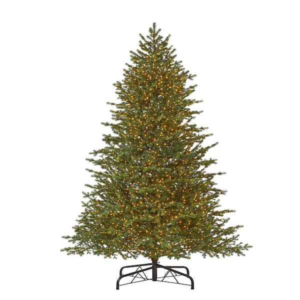 Home Decorators Collection 9 Ft Elegant Grand Fir Led Pre Lit Artificial Christmas Tree With 3000 Warm White Micro Dot Lights 21wl10164 The Home Depot
