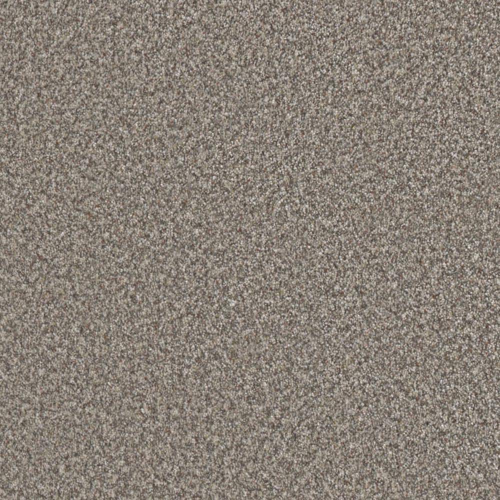 8 in. x 8 in. Texture Carpet Sample - Folklore I - Color Peace price history on PriceWatchPro