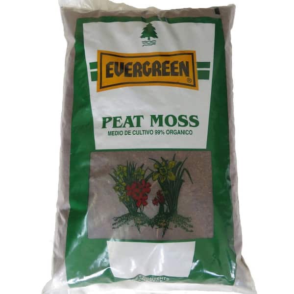 Evergreen Peat Moss