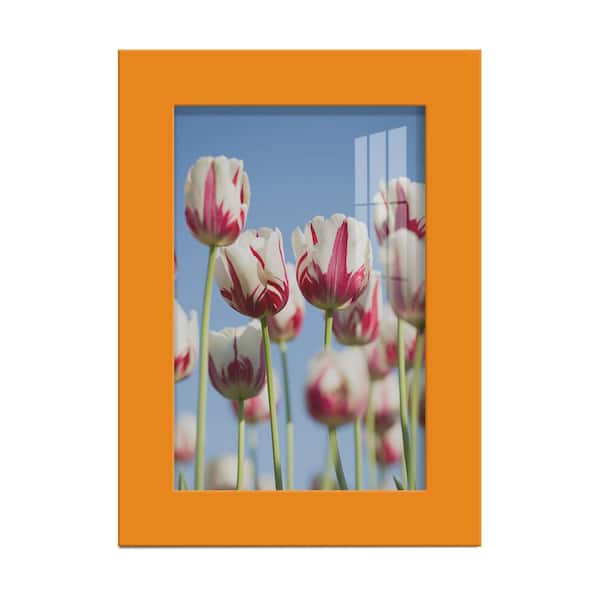 Wexford Home Modern 4 in. x 6 in. Orange Picture Frame
