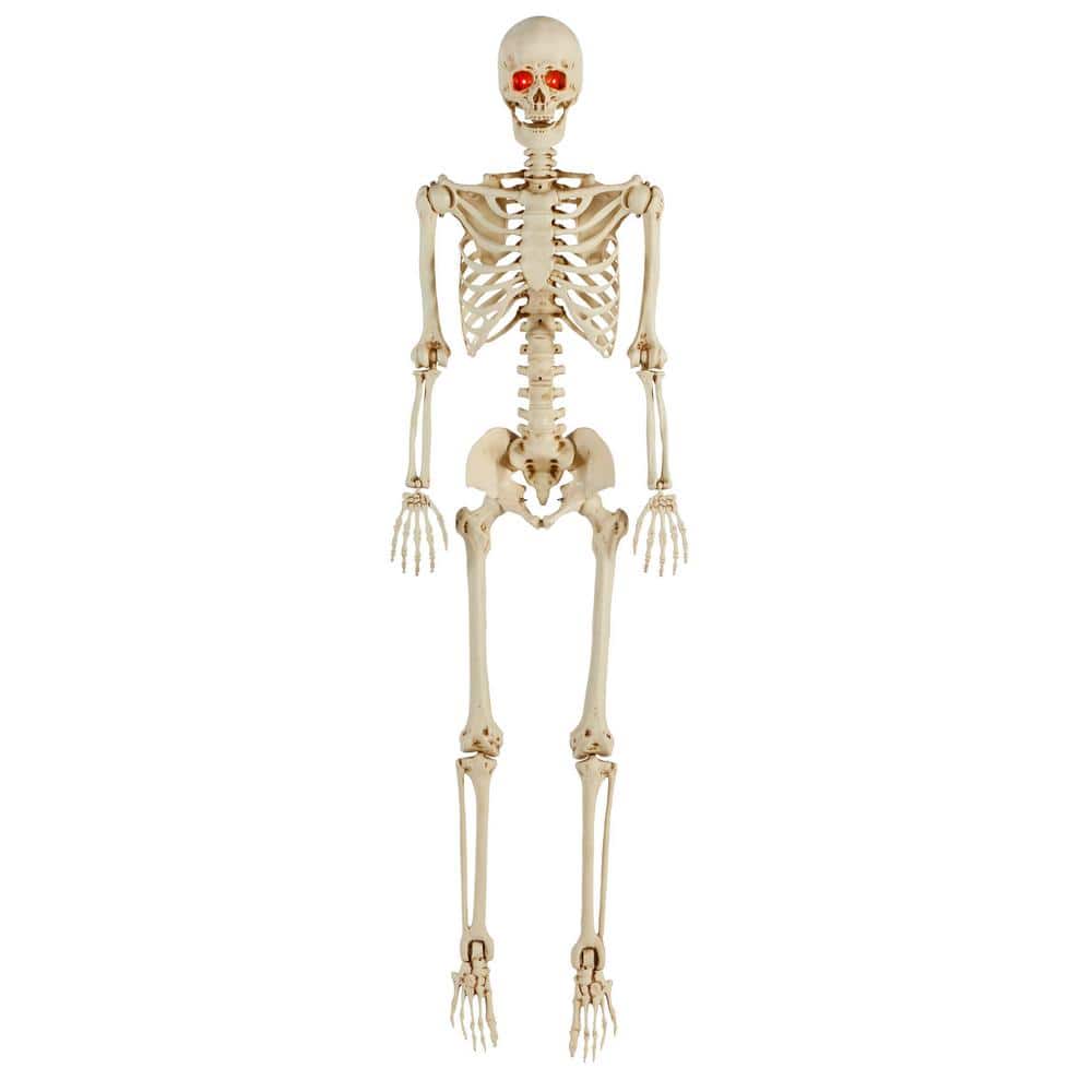 5.5FT Halloween Posable Skeleton Realistic Life Size Pose-n-stay Human  Skeleton with LED Glowing Eyes Motion Sensor Animated Hanging Hal 