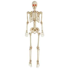 5 ft. LED Pose-N-Stay Skeleton