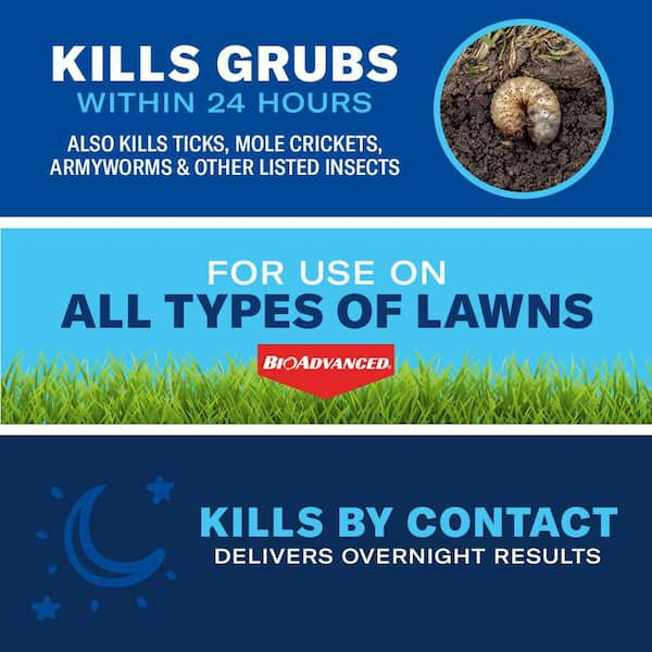 10 lb. 24-Hour Grub Killer Plus Granules