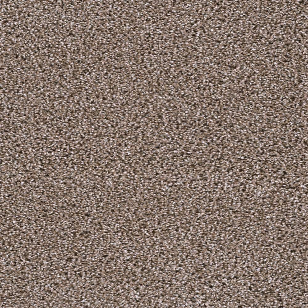 8 in. x  8 in. Texture Carpet Sample - Affectionate I -Color Comrade price history on PriceWatchPro