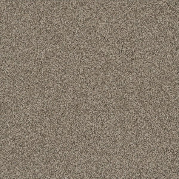 Meringue I-Kiss Beige 46 oz. SD Polyester Texture Carpet - Installation Required