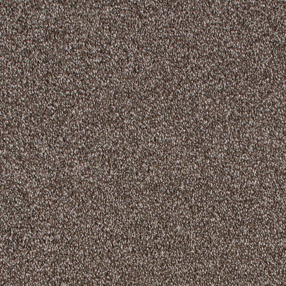 8 in. x 8 in. Texture Carpet Sample - Still In Love II -Color Coffee price history on PriceWatchPro