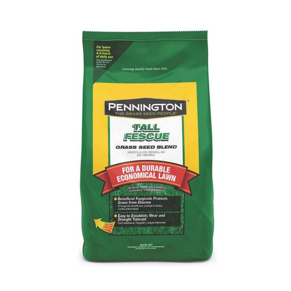 Pennington 25 lb. Penn Fescue Tall Fescue Blend