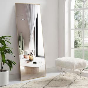 Large Rectangle Gold Hooks Contemporary Mirror (59 in. H x 20 in. W)