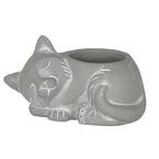 Large Natural Cement Sleeping Cat Planter