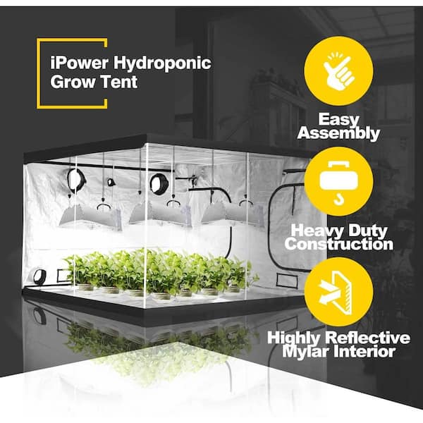 Mylar hydroponic 2024 grow tent