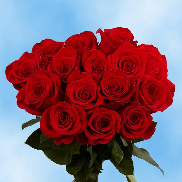 Globalrose Fresh Red Roses for Valentine's Day (100 Stems)